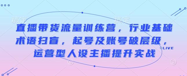直播带货流量训练营,行业基础术语扫盲,起号及账号破层级,运营型人设主播提升实战 图1