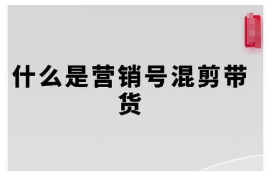 营销号混剪带货，从内容创作到流量变现的全流程，教你用营销号形式做混剪带货 图1
