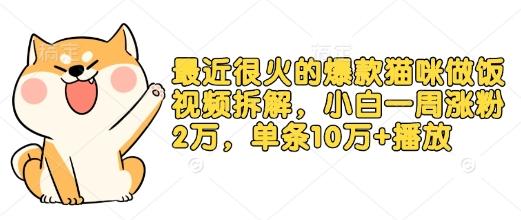 最近很火的爆款猫咪做饭视频拆解，小白一周涨粉2万，单条10万+播放(附保姆级教程) 图1