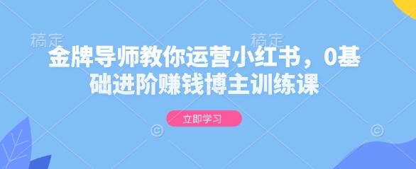 金牌导师教你运营小红书,0基础进阶赚钱博主训练课 图1