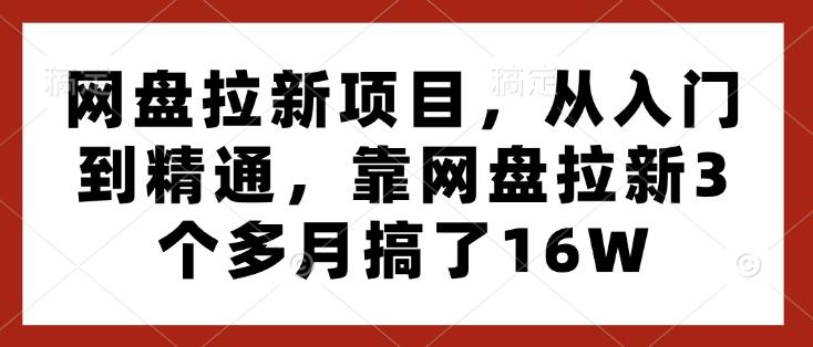 网盘拉新项目,从入门到精通,靠网盘拉新3个多月搞了16W 图1