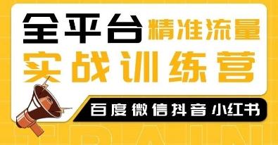 全平台精准流量实战训练营，百度微信抖音小红书SEO引流教程 图1