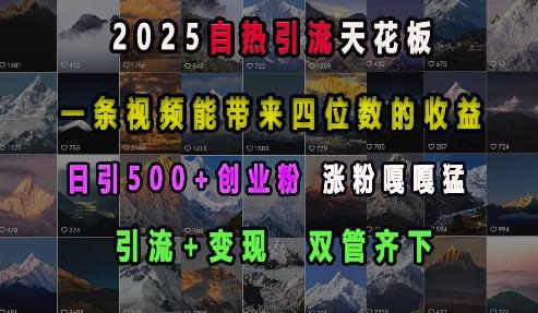 2025自热引流天花板，一条视频能带来四位数的收益，引流+变现双管齐下，日引500+创业粉，涨粉嘎嘎猛 图1