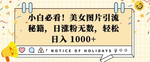 小白必看，美女图片引流秘籍，日涨粉无数，轻松日入几张【揭秘】 图1