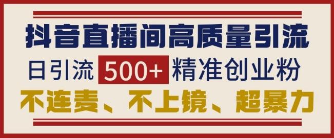 抖音直播间引流创业粉,无需连麦、不用上镜、超暴力,日引流500+高质量精准创业粉 图1