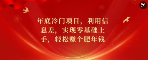 年底冷门项目,利用信息差,实现零基础上手,轻松赚个肥年钱【揭秘】 图1