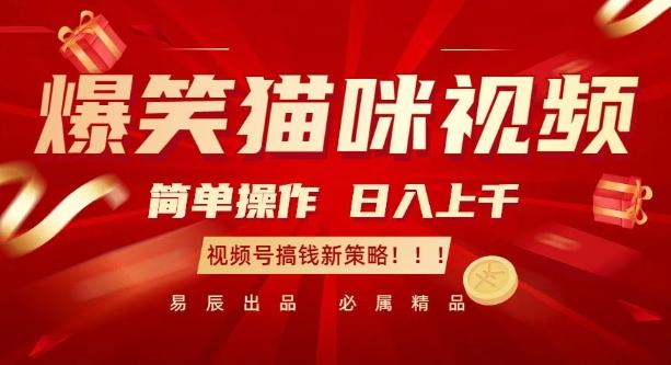 爆笑猫咪视频:简单操作,日入过K,视频号搞钱新策略【揭秘】 图1
