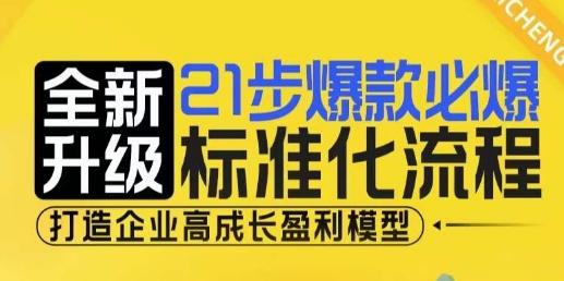21步爆款必爆标准化流程,全新升级,打造企业高成长盈利模型 图1