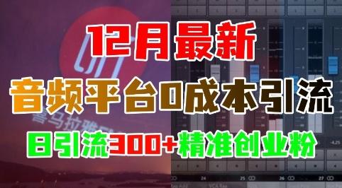 12月最新：音频平台0成本引流，日引流300+精准创业粉 图1