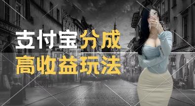支付宝分成计划新玩法,利用交通事故视频,赚收益,轻松月入过W,操作简单【揭秘】 图1