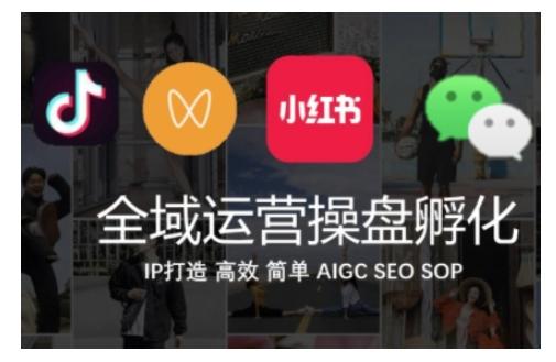 全域运营操盘(抖音+私域+小红书)，IP打造高效简单 图1
