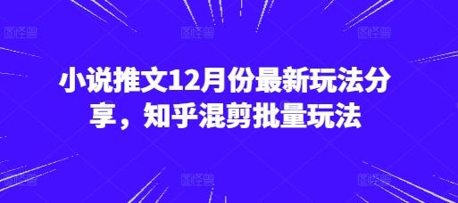 小说推文12月份最新玩法分享，知乎混剪批量玩法 图1