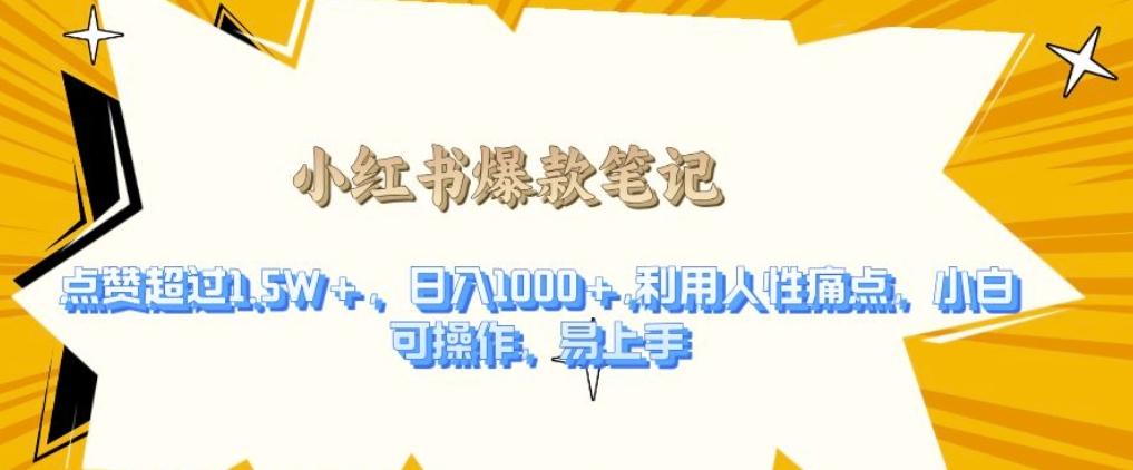 利用人性的痛点,打造爆款笔记,获得点赞超过1.5W+,日入1k【揭秘】 图1
