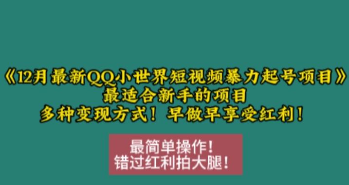 12月最新QQ小世界短视频暴力起号项目,最适合新手的项目,多种变现方式 图1