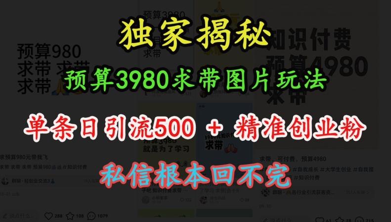 预算3980求带 图片玩法,单条日引流500+精准创业粉,私信根本回不完 图1