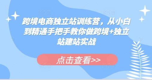 跨境电商独立站训练营,从小白到精通手把手教你做跨境+独立站建站实战 图1