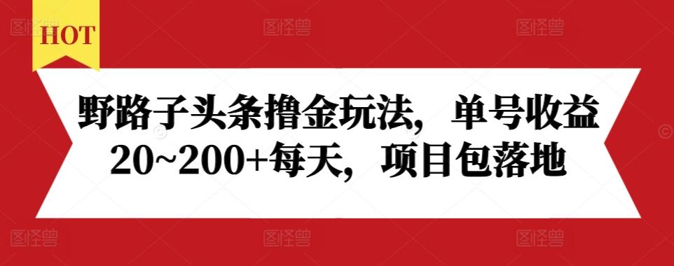 野路子头条撸金玩法,单号收益20~200+每天,项目包落地 图1