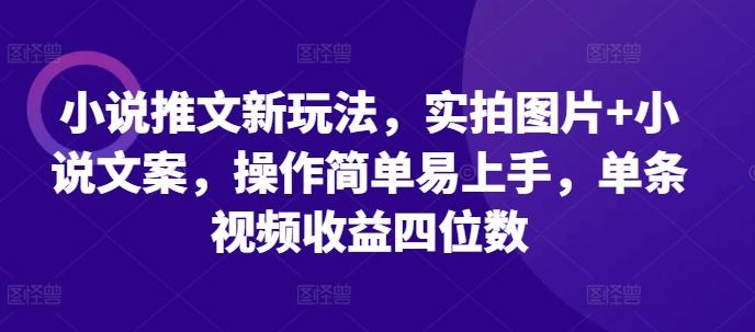 小说推文新玩法，实拍图片+小说文案，操作简单易上手，单条视频收益四位数 图1