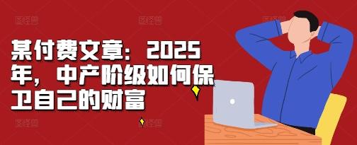 某付费文章:2025年,中产阶级如何保卫自己的财富 图1