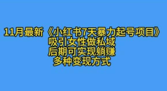 K总部落11月最新小红书7天暴力起号项目,吸引女性做私域【揭秘】 图1
