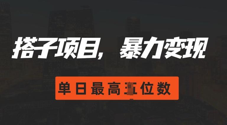 2024搭子玩法，0门槛，暴力变现，单日最高破四位数【揭秘】 图1