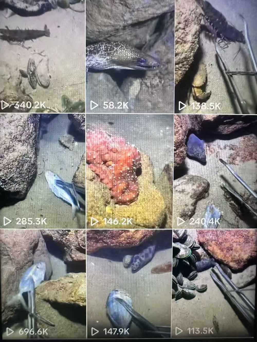 Tiktok中视频解说教程，体育+温情文案双赛道实操教程一站式带你落地 图1