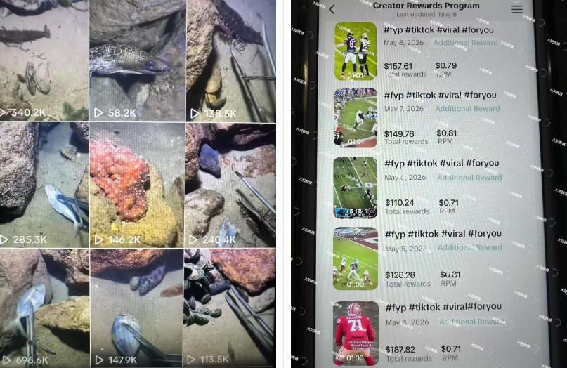 Tiktok中视频解说教程,体育+温情文案双赛道实操教程一站式带你落地,教你出海賺美刀 图1