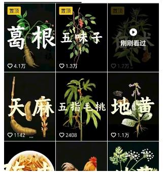 抖音中草药赛道，用AI做中草药故事视频，45条作品涨粉13W，橱窗带货猛猛出单 图2