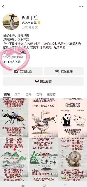 Puff手绘视频号分成项目，三天过分成计划，简单易上手，适合新手 图2