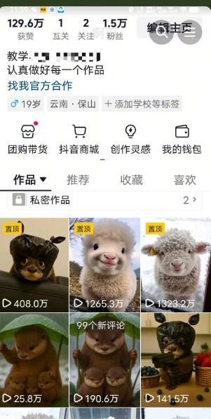 抖音65W博主AI萌宠课程，新赛道流量大，原创+二创，全套课程+提示词 图2