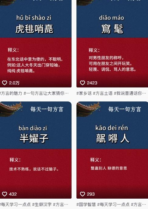 抖音最新涨粉玩法，图文方言暴力涨粉实操，126作品涨粉11W 图2