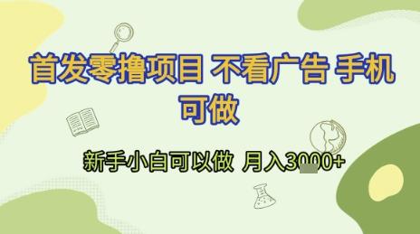 首发零撸项目 不看广告 手机可做 新手小白可以做 月入3k+【揭秘】-三零资源