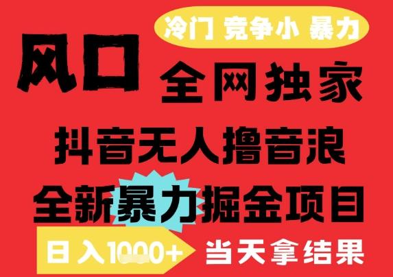 25年6月高爆抖音无人直播最新撸音浪掘金项目，解放双手小白可做，无脑日入1k+，门槛低【揭秘】-三零资源