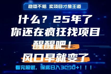 什么?25年你还在疯狂找项目做,醒醒吧,看完这些你全都懂了!【揭秘】-三零资源