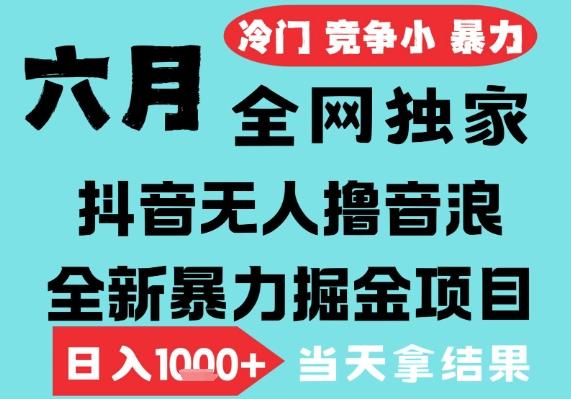 2025年6月高爆抖音无人直播最新撸音浪掘金项目,无脑日入1k+,低门槛小白可做,可矩阵放大【揭秘】-三零资源