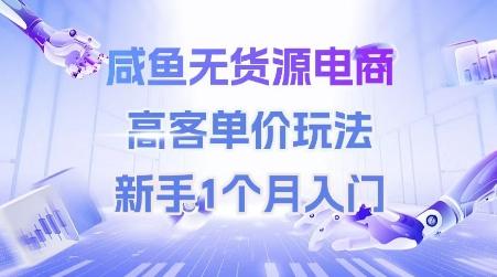 咸鱼无货源电商，高客单价玩法，新手1个月入门-三零资源