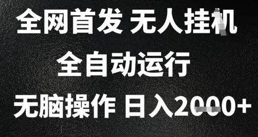 2025首发无人挂G项目,日入2k+,全自动运行,无脑操作,长期稳定 小白可玩【揭秘】-三零资源