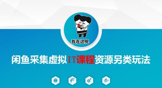 闲鱼采集虚拟IT课程资源另类玩法，干货满满-三零资源