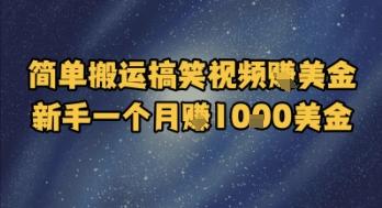 简单搬运搞笑视频挣美金，新手一个月入1k美金-三零资源