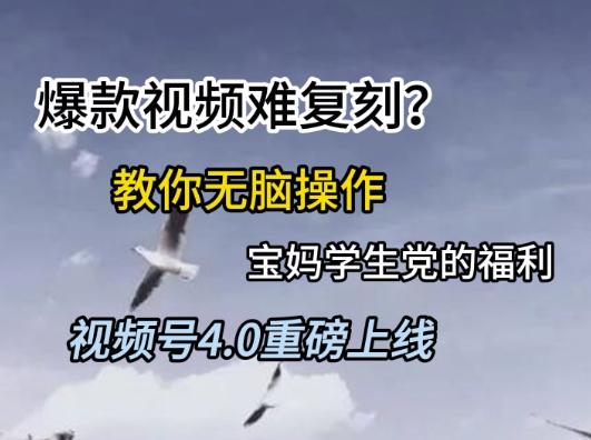 视频号4.0重磅上线,爆款视频难复刻?教你无脑操作宝妈学生党的福利【揭秘】-三零资源