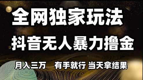 全网独家玩法抖音无人暴力撸金,月入3W,有手就行,当天拿结果【揭秘】-三零资源
