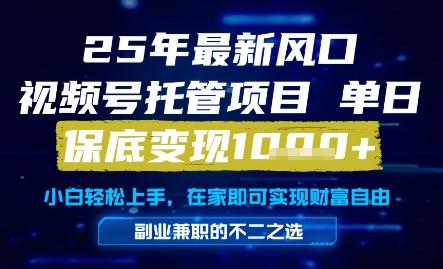 25年最新风口,视频号托管项目,单日保底变现1k+,手把手教学【揭秘】-三零资源