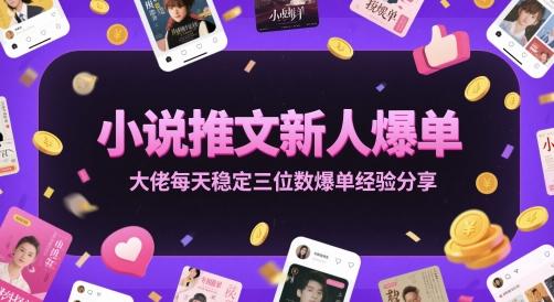 小说推文新人爆单大佬每天稳定三位数爆单经验分享-三零资源