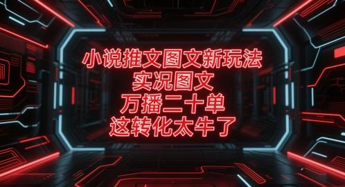 小说推文图文新玩法，实况图文，万播二十单，这转化太牛了！-三零资源