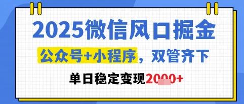 2025微信风口掘金,公众号+小程序双管齐下,单日稳定变现1k+【揭秘】-三零资源