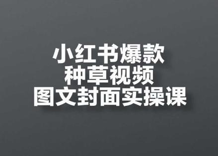 小红书爆款种草视频图文封面实操课,开店、选品、引流、变现全流程-三零资源