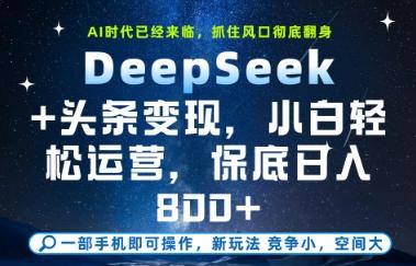 DeepSeek+头条变现,保姆级教学,小白轻松上手,日入8张+【揭秘】-三零资源