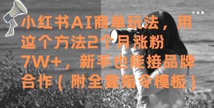 小红书AI商单玩法，用这个方法2个月涨粉7W+，新手也能接品牌合作(附全套指令模板)-三零资源