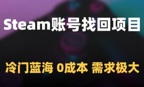 Steam账号找回项目，冷门蓝海，0成本，需求极大-三零资源
