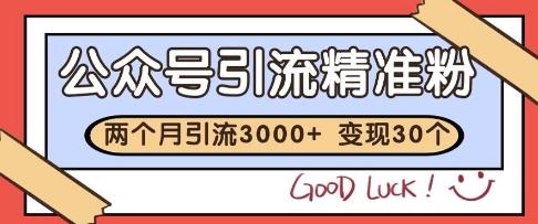 公众号精准粉引流玩法,2个月3000+精准粉,变现30个W【揭秘】-三零资源